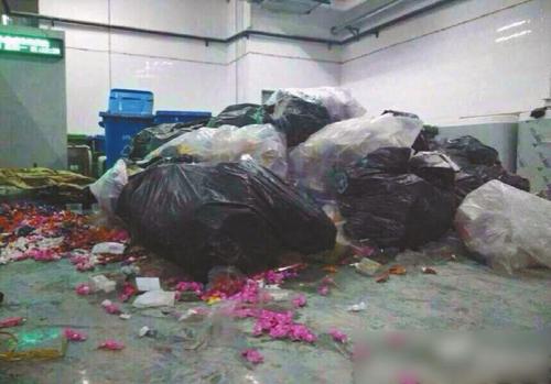 1114272836_14231792987261n 1114272836_14231792987261n