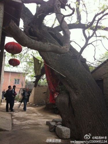 62018065eb43487cbe851c1413c4aa96