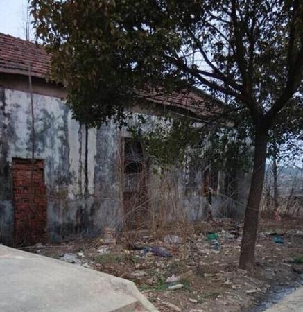 湖北24岁女孩被锁5年 如东灭门案凶手竟是女婿5