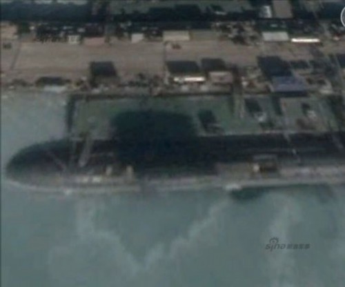 　　后部明显出现隆起