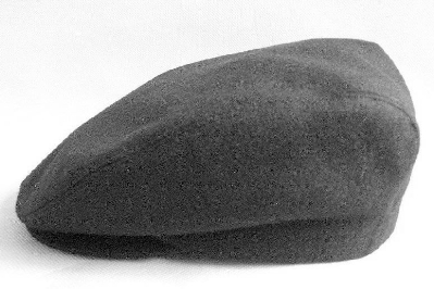 res09_attpic_brief res09_attpic_brief