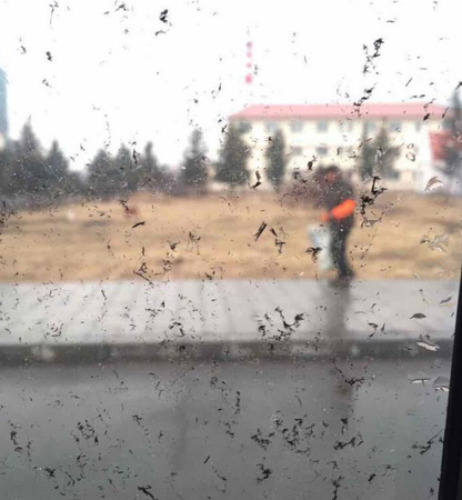 内蒙古阿尔山市下泥雨天空变红4