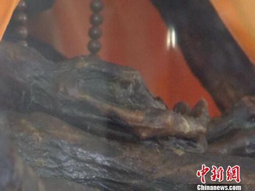 图为圆寂高僧不腐肉身 阚力 摄