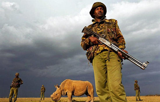 全球最后一头雄性白犀?；?4小时持枪保卫(组图)5