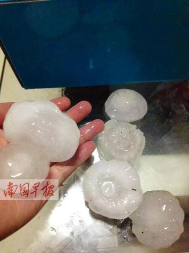 桂林象山区联达雅居居民在小区里拍到的冰雹。刘荣清摄