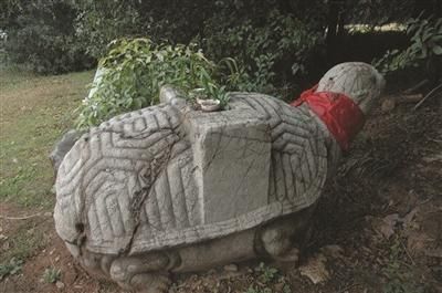 现存的龟趺。 张智峰 摄