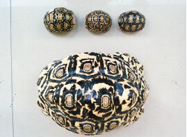 QQ截图20150422154409