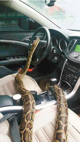 QQ截图20150422154422