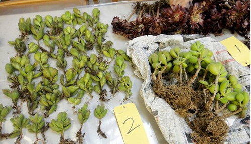 QQ截图20150423160847