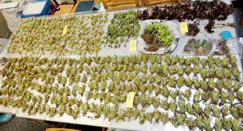 QQ截图20150423160855