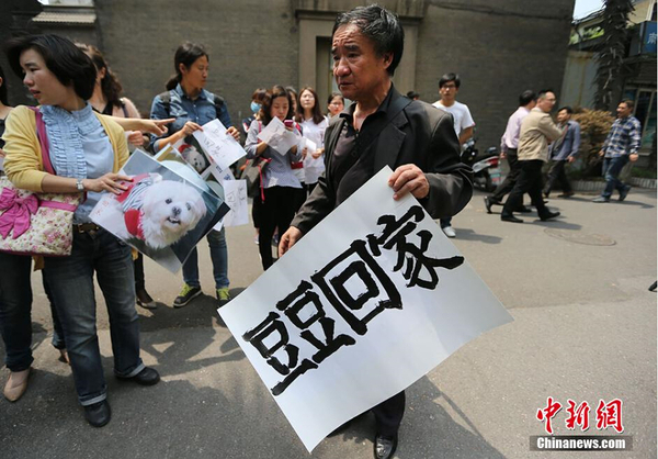 南京老伯满城找爱犬 88天写下心痛日记6