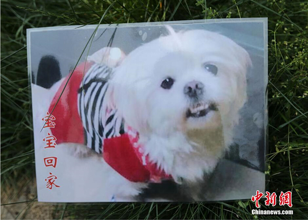 南京老伯满城找爱犬 88天写下心痛日记4