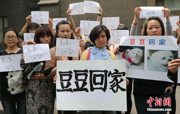 南京老伯满城找爱犬 88天写下心痛日记1