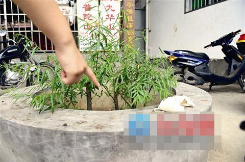 QQ截图20150429105111