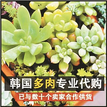 QQ截图20150508092048