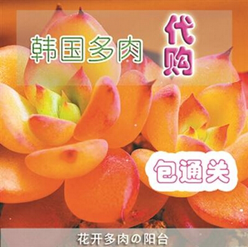 QQ截图20150508092055