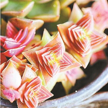 QQ截图20150508092101