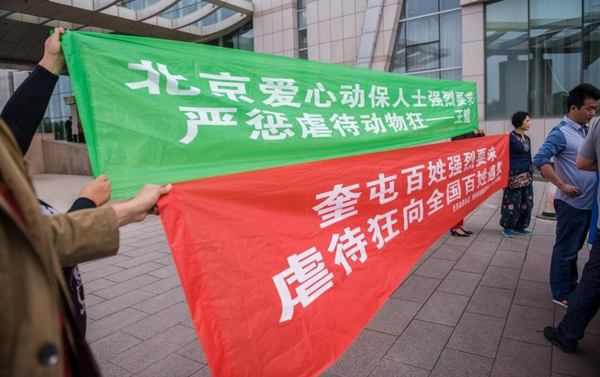 棒打小狗男子遭“人肉”-向爱狗人士鞠躬道歉赔万元2