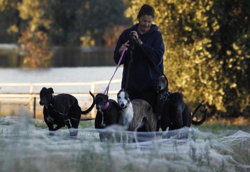 当蛛网一片片落地，遍布整片田野和林地，这种所谓的“天使发丝”现象便诞生了，由于蜘蛛走过的地方总会留下一条丝，如果它们用其他蜘蛛的丝，就会把自己的丝附在上面，最终就会形成很粗的“丝路”。