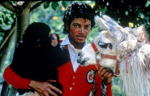 杰克逊梦幻庄园将被出售 标价1亿美元