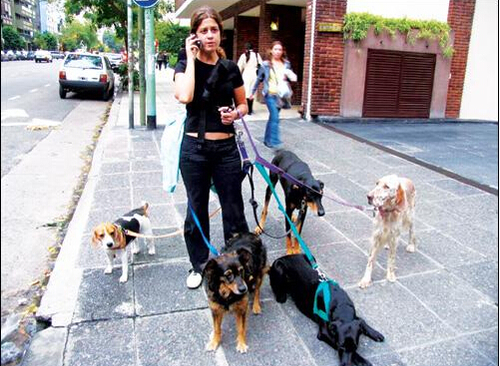 QQ截图20150602112245