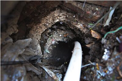 QQ截图20150602141203