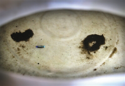 QQ截图20150602141218