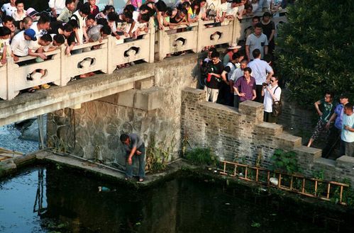 QQ图片20150616100310