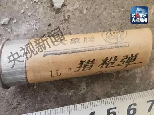 犯罪嫌疑人行凶使用的“大象牌”猎枪弹。