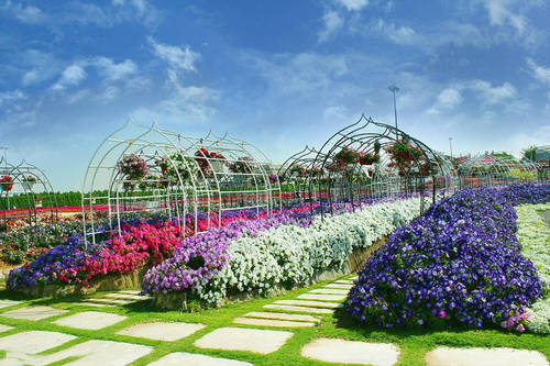 dcd39af427a9ee9_size322_w962_h641