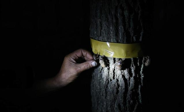 QQ截图20150707131912