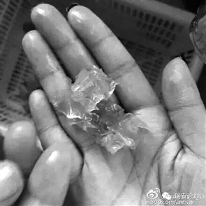 温州市场现注胶虾-专家教你如何鉴别注胶虾4