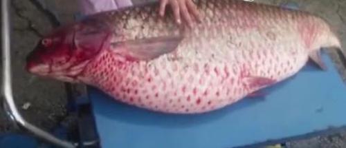 360截图20150718143211443