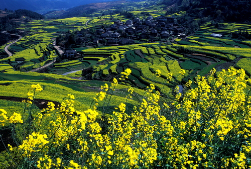 1.5王爱山(水母溪) 1.5王爱山(水母溪)