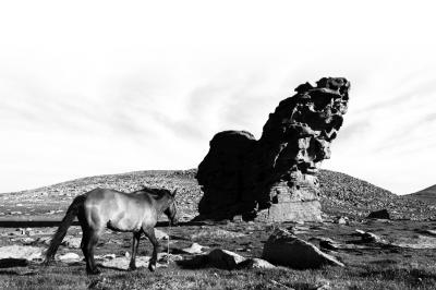 图片均为古地中海海底遗迹。雷东翔摄