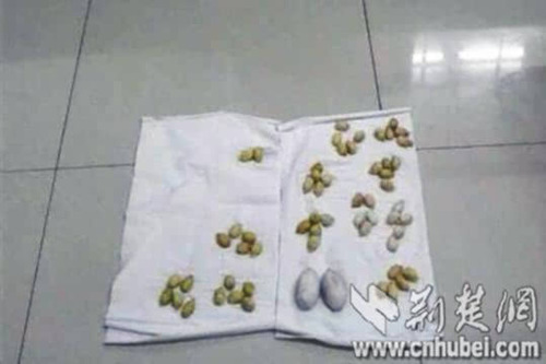 　被查获的大小59个“毒蛋”