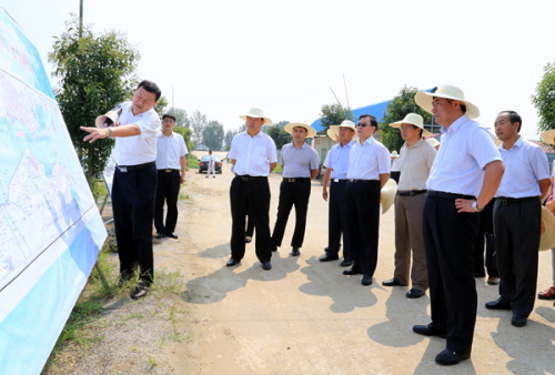 考察鲁桥镇微山湖乌鳢产业园 考察鲁桥镇微山湖乌鳢产业园