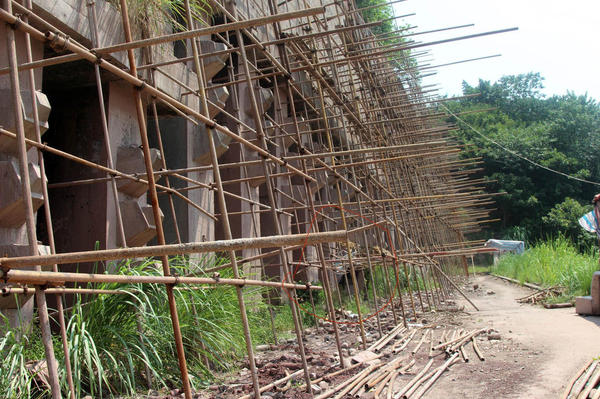 男子穴居桥洞 每天省5块想“像城里人一样买钻戒”4