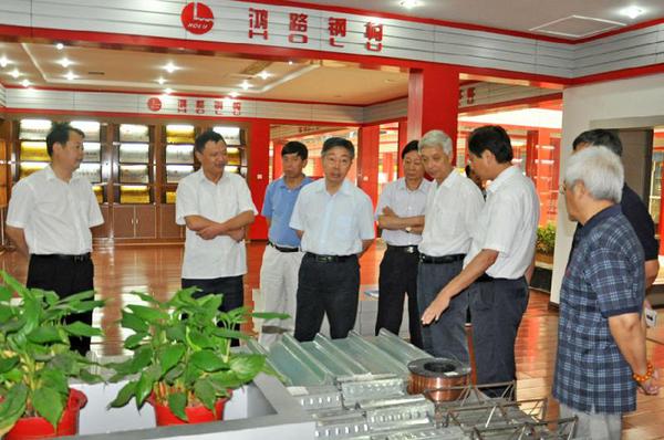 湖北省政协开展“大别山革命老区振兴发展”调研1。