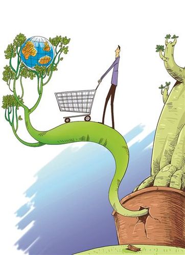 八块“试验田”要种什么