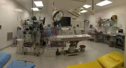 女作家冷冻遗体