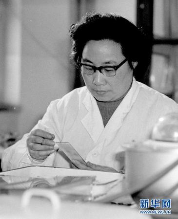 这是20世纪80年代初，任中医研究院中药研究所副研究员的屠呦呦在进行科研工作。