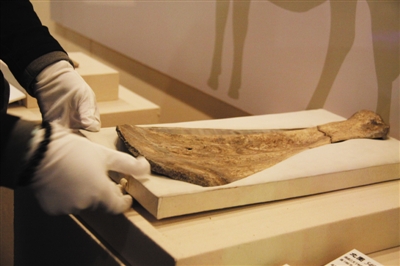 工作人员正在陈列甲骨展品，此次展览共展出65件甲骨。国家图书馆供图