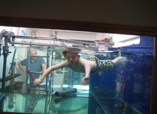 完工后，拉金的大鱼缸足够让儿子在其中游泳，现在里面放养了120条鱼。（