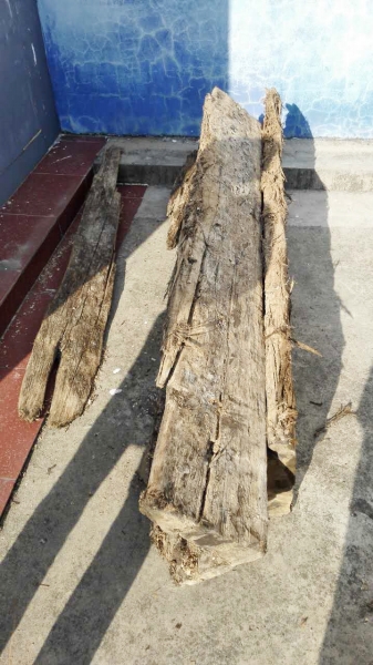 挖出的文物，金丝楠木棺材板。支羽 摄