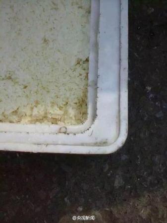 学生营养午餐被曝令人作呕