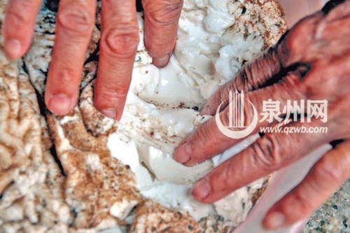 延伸阅读：什么是太岁呢