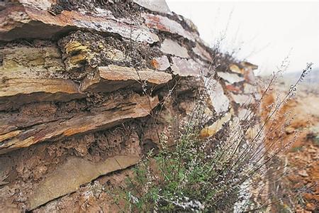 u=1991282464,2778281490&fm=11&gp=0 u=1991282464,2778281490&fm=11&gp=0