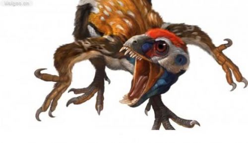 d02788e9b71917ad117045 d02788e9b71917ad117045