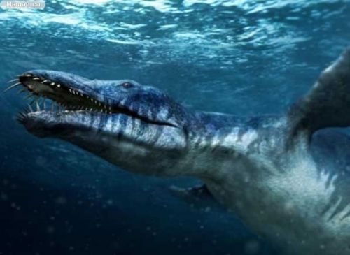 d02788e9b71917ad117046